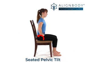 Seated Pelvic Tilt