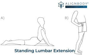 Standing Lumbar Extension