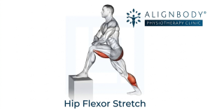 Hip Flexor Stretch