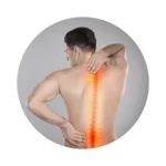 Spine Pain
